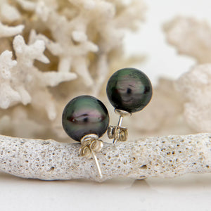 READY TO SHIP Civa Fiji Saltwater Pearl Stud Earrings 925