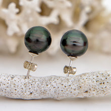 Load image into Gallery viewer, READY TO SHIP Civa Fiji Saltwater Pearl Stud Earrings - 925 Sterling Silver FJD$

