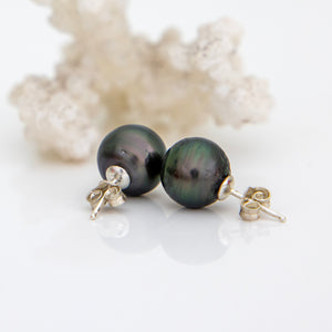 READY TO SHIP Civa Fiji Saltwater Pearl Stud Earrings - 925 Sterling Silver FJD$