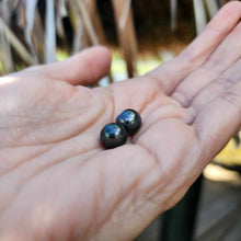 Load image into Gallery viewer, READY TO SHIP Civa Fiji Saltwater Pearl Stud Earrings - 925 Sterling Silver FJD$

