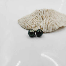 Load image into Gallery viewer, READY TO SHIP Civa Fiji Saltwater Pearl Stud Earrings - 925 Sterling Silver FJD$
