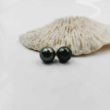 Load image into Gallery viewer, READY TO SHIP Civa Fiji Saltwater Pearl Stud Earrings - 925 Sterling Silver FJD$
