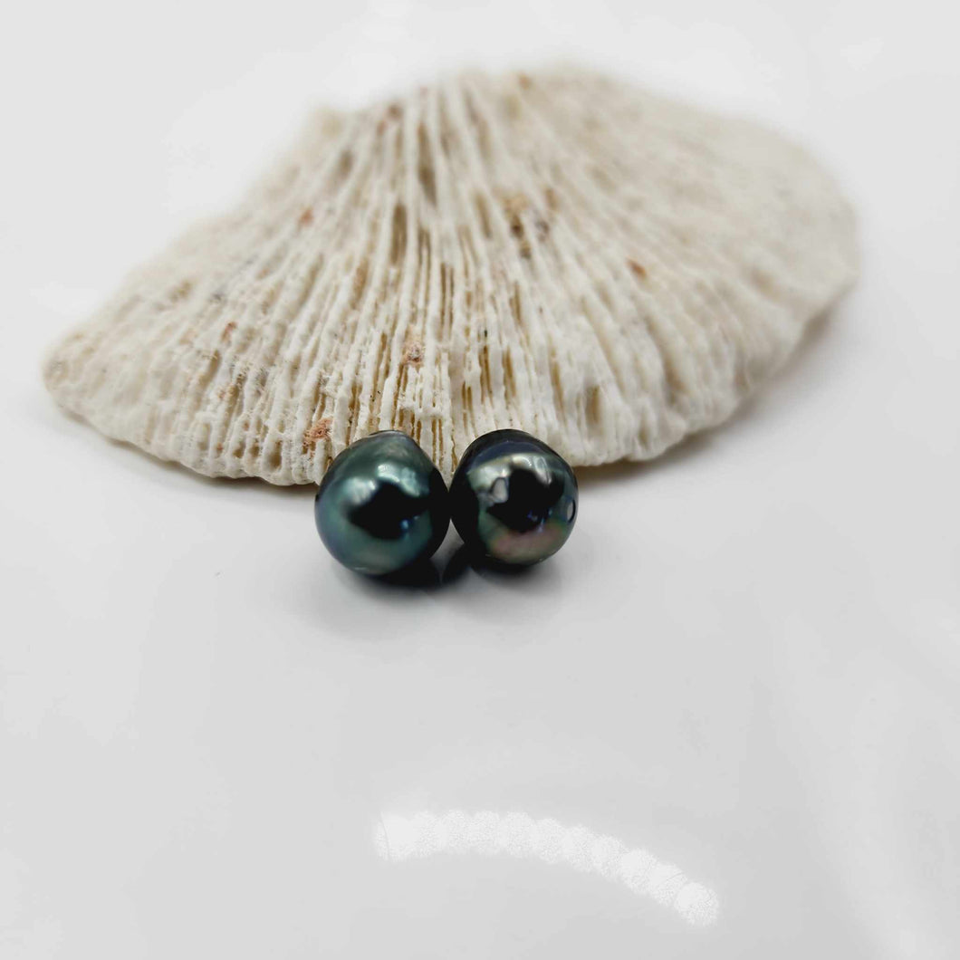 Civa Fiji Loose Saltwater Pearl Pair - FJD$