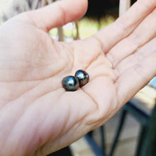 Load image into Gallery viewer, Civa Fiji Loose Saltwater Pearl Pair - FJD$
