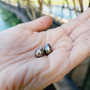 READY TO SHIP Civa Fiji Saltwater Pearl Huggie Earrings - 14k Gold Fill FJD$