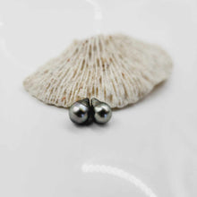 Load image into Gallery viewer, Civa Fiji Loose Saltwater Pearl Pair - FJD$
