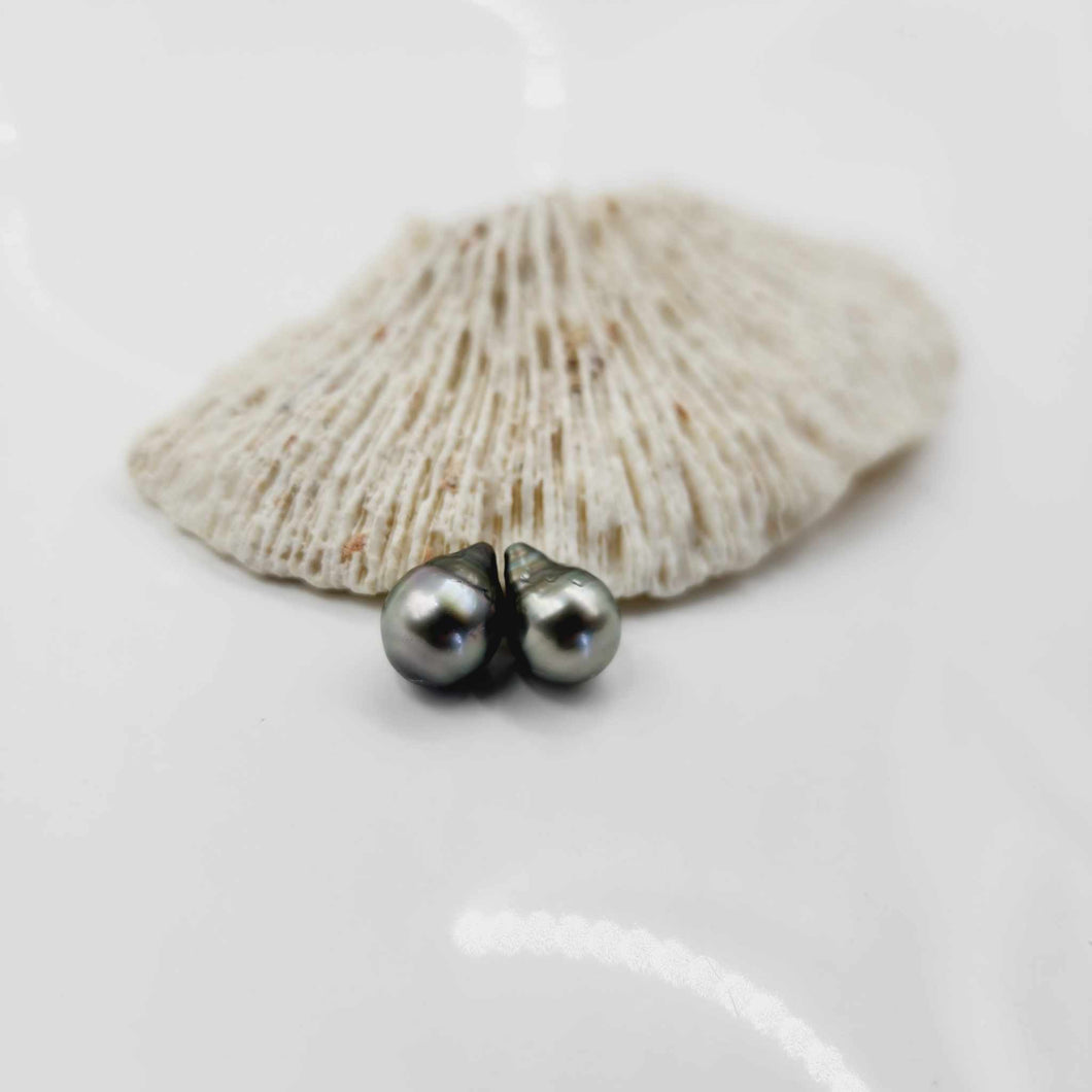 Civa Fiji Loose Saltwater Pearl Pair - FJD$