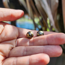 Load image into Gallery viewer, Civa Fiji Loose Saltwater Pearl Pair - FJD$

