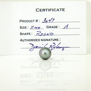 Fiji Loose Saltwater Pearl with Grade Certificate #3047 - FJD$