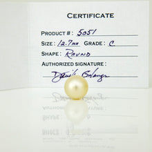 Load image into Gallery viewer, Fiji Loose Saltwater Pearl with Grade Certificate #5051 - FJD$
