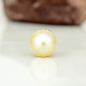 Fiji Loose Saltwater Pearl with Grade Certificate #5051 - FJD$