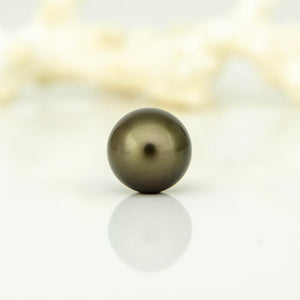 Fiji Loose Saltwater Pearl with Grade Certificate #5055 - FJD$