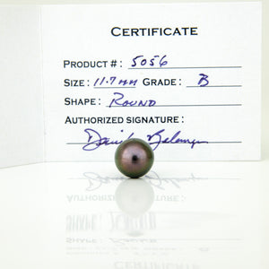 Fiji Loose Saltwater Pearl with Grade Certificate #5056 - FJD$