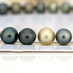 Civa Fiji Undrilled Pearls - FJD$