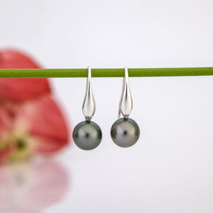 READY TO SHIP Civa Fiji Saltwater Graded Pearl Earrings #BO4000 - 925 Sterling Silver FJD$