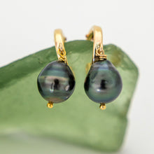 Load image into Gallery viewer, READY TO SHIP Civa Fiji Saltwater Pearl Huggie Earrings - 14k Gold Fill FJD$
