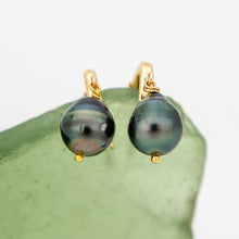 Load image into Gallery viewer, READY TO SHIP Civa Fiji Saltwater Pearl Huggie Earrings - 14k Gold Fill FJD$
