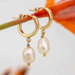 READY TO SHIP Freshwater Pearl Huggie Earrings - 14k Gold Fill FJD$