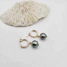 Load image into Gallery viewer, READY TO SHIP Fiji Pearl Huggie Earrings - 14k Gold Fill FJD$
