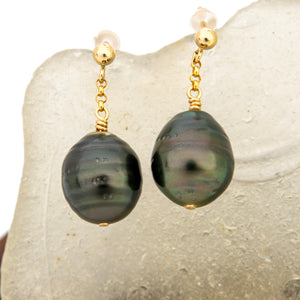 READY TO SHIP Civa Fiji Pearl Stud Earrings - 14k Gold Fill FJD$