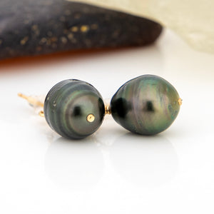 READY TO SHIP Civa Fiji Pearl Stud Earrings - 14k Gold Fill FJD$