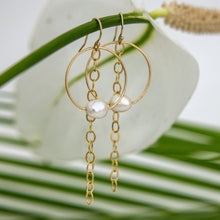 Load image into Gallery viewer, READY TO SHIP Earrings with Freshwater Pearl and chain detail - 14k Gold Fill FJD$
