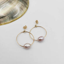Load image into Gallery viewer, READY TO SHIP Freshwater Pearl Hoop Stud Earrings - 14k Gold Fill FJD$

