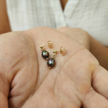 Load image into Gallery viewer, READY TO SHIP - Freshwater Pearl Stud Earrings - 14k Gold Fill FJD$
