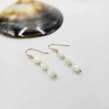 Load image into Gallery viewer, READY TO SHIP Mother of Pearl Drop Earrings - 14k Gold Fill FJD$
