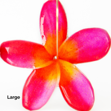 Load image into Gallery viewer, READY TO SHIP Frangipani Flower Resin Hoop Earrings - 14k Gold Fill FJD$
