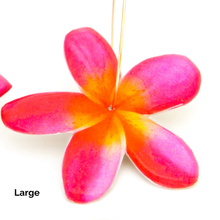 Load image into Gallery viewer, READY TO SHIP Frangipani Flower Resin Hoop Earrings - 14k Gold Fill FJD$
