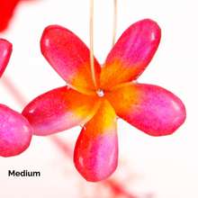 Load image into Gallery viewer, READY TO SHIP Frangipani Flower Resin Hoop Earrings - 14k Gold Fill FJD$
