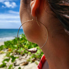 Load image into Gallery viewer, READY TO SHIP Shell Hoop Earrings - 14k Gold Fill FJD$
