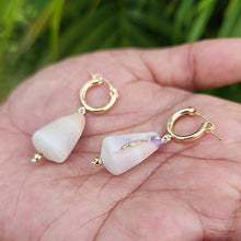 Load image into Gallery viewer, CONTACT US TO RECREATE THIS SOLD OUT STYLE Shell Huggie Earrings - 14k Gold Fill FJD$
