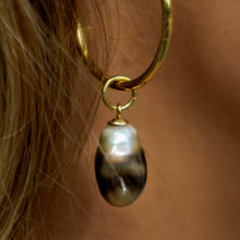 Load image into Gallery viewer, Civa Fiji Pearl Hoop Earrings - Gold Plated FJD$
