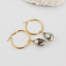 Load image into Gallery viewer, Civa Fiji Pearl Hoop Earrings - Gold Plated FJD$
