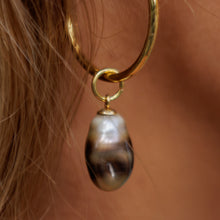 Load image into Gallery viewer, Civa Fiji Pearl Hoop Earrings - Gold Plated FJD$
