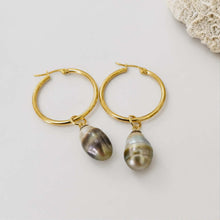 Load image into Gallery viewer, Civa Fiji Pearl Hoop Earrings - Gold Plated FJD$

