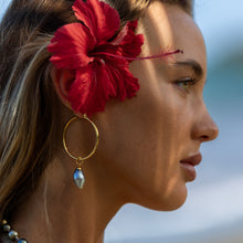 Load image into Gallery viewer, Civa Fiji Pearl Hoop Earrings - Gold Plated FJD$
