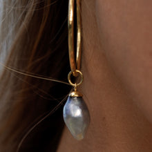 Load image into Gallery viewer, Civa Fiji Pearl Hoop Earrings - Gold Plated FJD$
