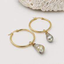 Load image into Gallery viewer, Civa Fiji Pearl Hoop Earrings - Gold Plated FJD$
