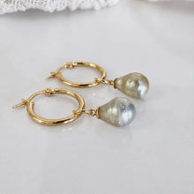 Load image into Gallery viewer, Civa Fiji Pearl Huggie Earrings - Gold Plated FJD$
