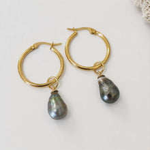 Load image into Gallery viewer, Civa Fiji Pearl Hoop Earrings - Gold Plated FJD$
