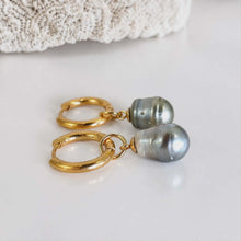 Load image into Gallery viewer, Civa Fiji Pearl Huggie Earrings - Gold Plated FJD$
