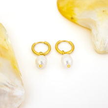Load image into Gallery viewer, READY TO SHIP Freshwater Pearl Hoop Earrings - Gold Plated FJD$
