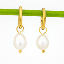 Load image into Gallery viewer, READY TO SHIP Freshwater Pearl Hoop Earrings - Gold Plated FJD$
