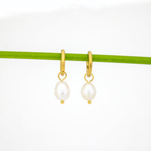 Load image into Gallery viewer, READY TO SHIP Freshwater Pearl Hoop Earrings - Gold Plated FJD$
