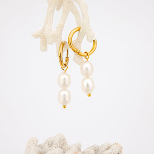 READY TO SHIP Freshwater Pearl Hoop Earrings - Gold Plated FJD$