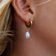 READY TO SHIP Freshwater Pearl Hoop Earrings - Gold Plated FJD$