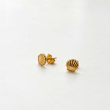 Load image into Gallery viewer, A pair of small gold stud earrings shaped like scallop shells, photographed on a clean white background.
